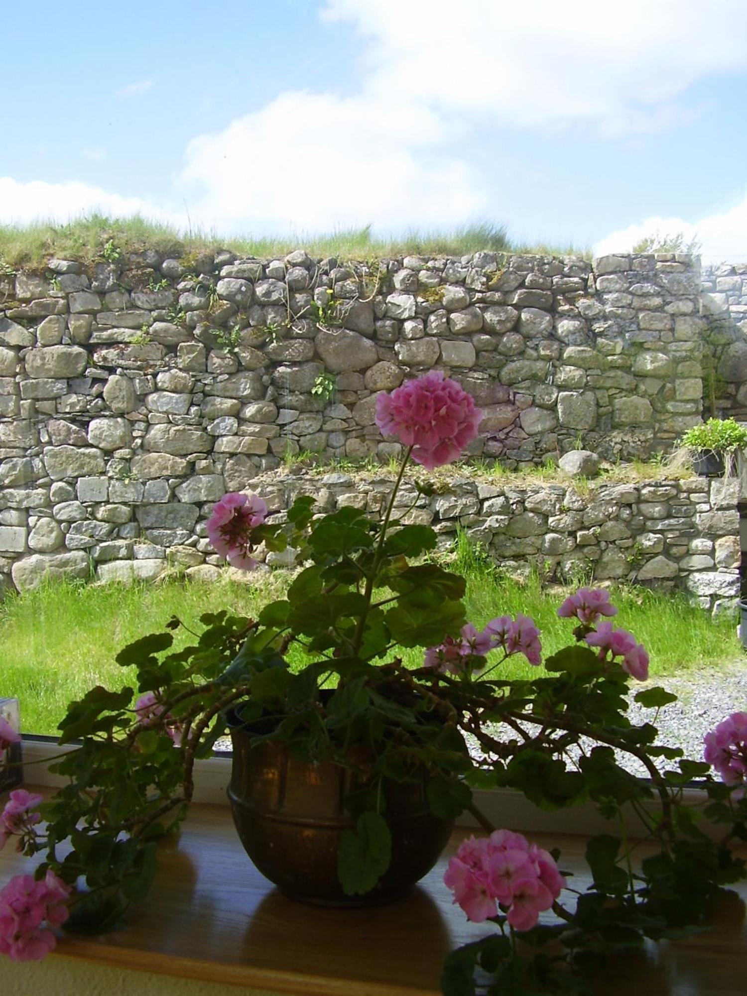 Glenboy Country Accommodation Oldcastle Dış mekan fotoğraf